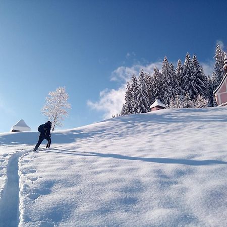 Dangos Mountainview Gosau 아파트 외부 사진