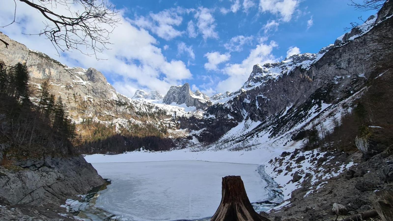 Dangos Mountainview Gosau 아파트 외부 사진