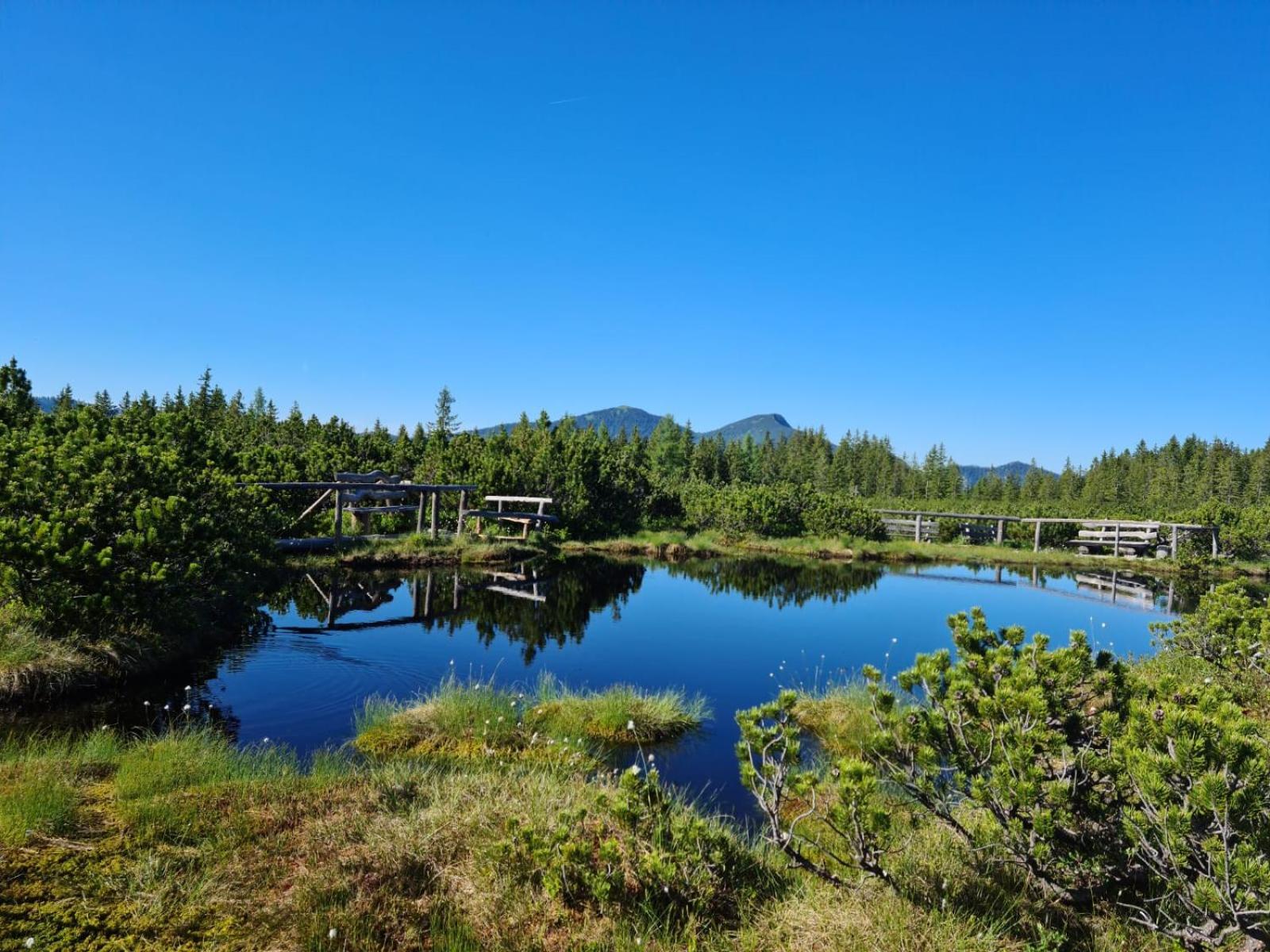Dangos Mountainview Gosau 아파트 외부 사진