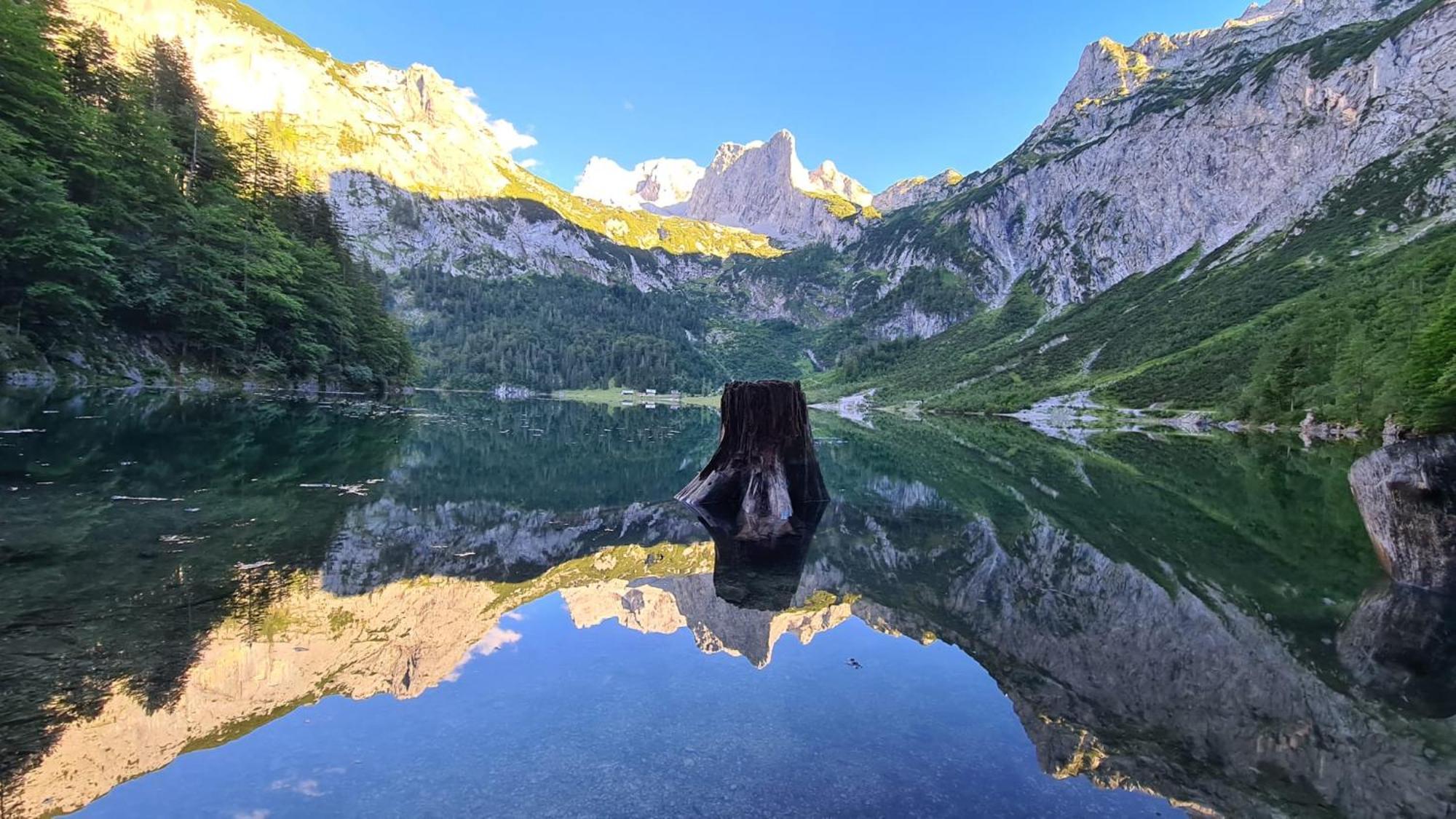 Dangos Mountainview Gosau 아파트 외부 사진