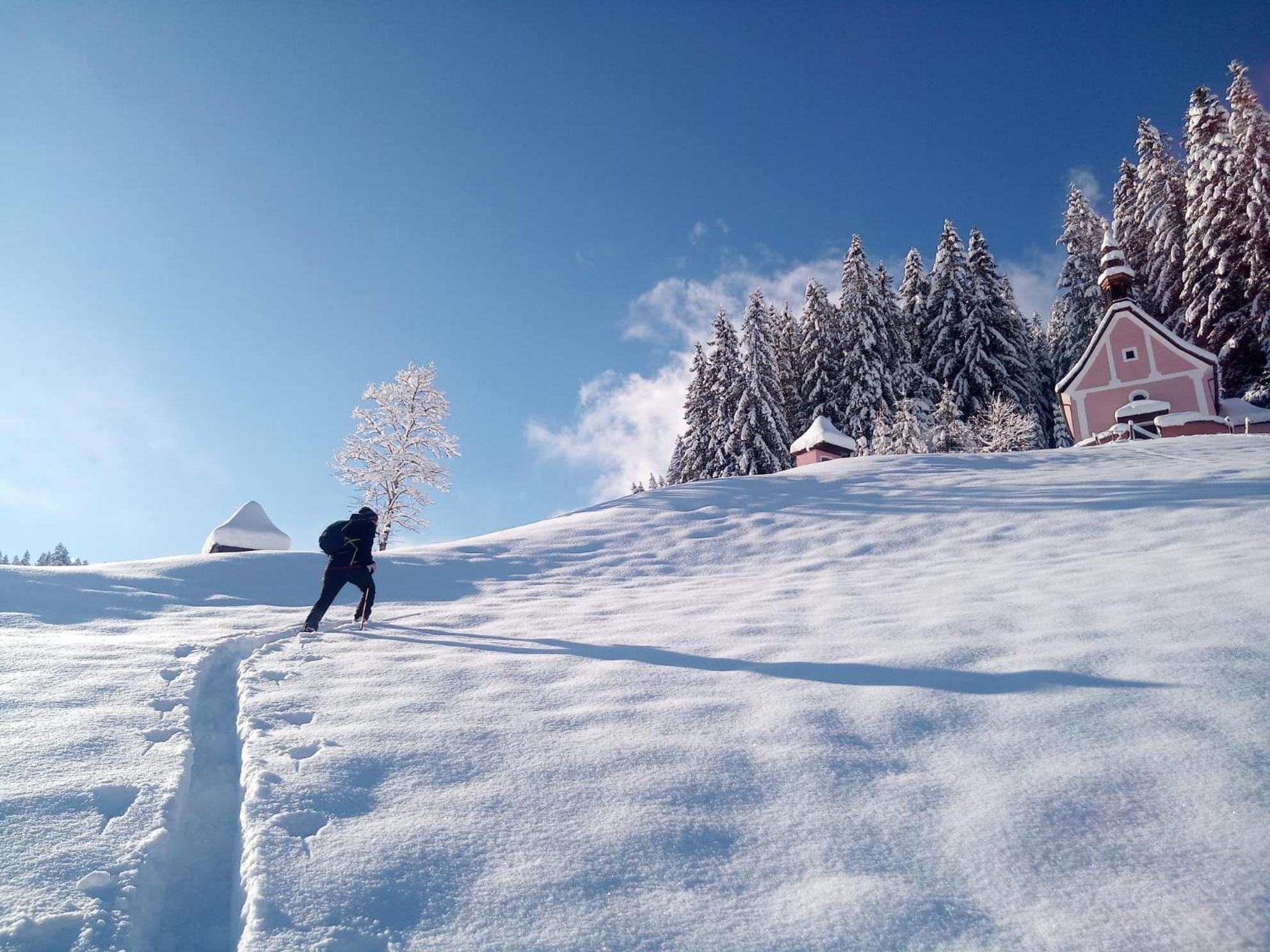 Dangos Mountainview Gosau 아파트 외부 사진